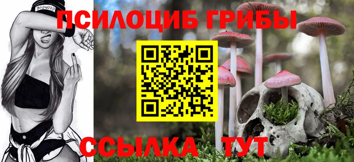 Псилоцибиновые грибы GOLDEN TEACHER Красный Сулин